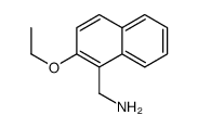 cas no 376594-96-6 is 1-Naphthalenemethanamine,2-ethoxy-(9CI)