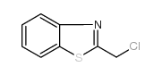 cas no 37859-43-1 is 2-(Chloromethyl)-1,3-Benzothiazole