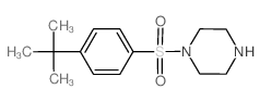cas no 379244-68-5 is 1-[(4-tert-butylphenyl)sulfonyl]piperazine(SALTDATA: FREE)