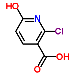 cas no 38025-90-0 is 2-Chloro-6-hydroxynicotinic acid