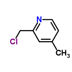 cas no 38198-16-2 is 2-Chloromethyl-4-methylpyridine