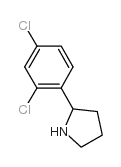 cas no 383127-69-3 is 2-(2,4-dichlorophenyl)pyrrolidine