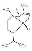 cas no 3856-25-5 is α-Copaene