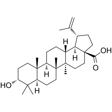 cas no 38736-77-5 is 3-epi-betulinic acid