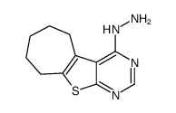 cas no 40106-59-0 is 6,7,8,9-tetrahydro-5H-cyclohepta[4,5]thieno[1,2-c]pyrimidin-4-ylhydrazine