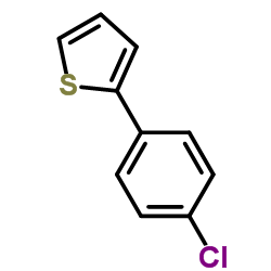 cas no 40133-23-1 is 2-(4-Chlorophenyl)thiophene