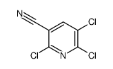 cas no 40381-92-8 is 2,5,6-Trichloronicotinonitrile