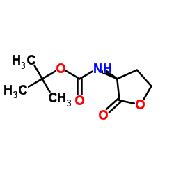 cas no 40856-59-5 is (S)-(-)-α-(N-t-BOC-Amino)-γ-butyrolactone
