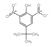 cas no 4097-49-8 is 4-tert-Butyl-2,6-dinitrophenol