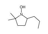 cas no 412016-74-1 is 1-hydroxy-2,2-dimethyl-5-propylpyrrolidine