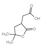 cas no 412298-86-3 is (4Z)-4-(ETHOXYMETHYLENE)ISOQUINOLINE-1,3(2H,4H)-DIONE