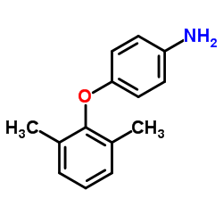 cas no 41280-55-1 is 4-(2,6-Dimethylphenoxy)aniline