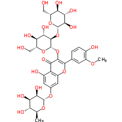 cas no 41328-75-0 is Isorhamnetin 3-sophoroside-7-rhamnoside