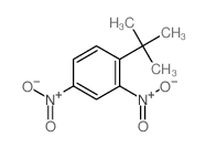 cas no 4160-54-7 is 2,4-Dinitro-1-tert-butyl-benzene
