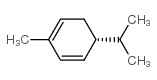 cas no 4221-98-1 is (-)-P-mentha-1,5-diene