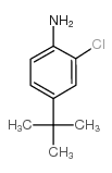 cas no 42265-67-8 is 4-(TERT-BUTYL)-2-CHLOROANILINE