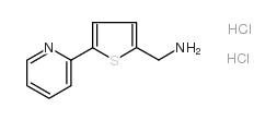 cas no 423768-36-9 is (5-pyridin-2-ylthiophen-2-yl)methanamine,dihydrochloride