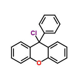 cas no 42506-03-6 is 9-Chloro-9-phenyl-9H-xanthene