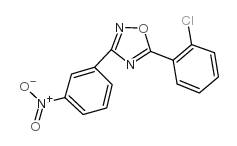 cas no 425412-27-7 is 5-(2-Chlorophenyl)-3-(3-nitrophenyl)-1,2,4-oxadiazole