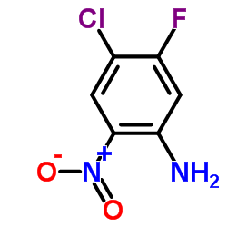 cas no 428871-64-1 is 4-Chloro-5-fluoro-2-nitroaniline