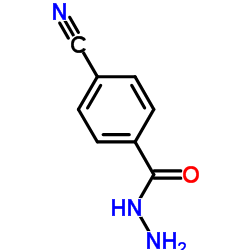 cas no 43038-36-4 is 4-Cyanobenzohydrazide