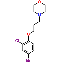 cas no 433946-01-1 is 4-[3-(4-Bromo-2-chlorophenoxy)propyl]morpholine