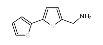 cas no 4380-96-5 is 2,2'-BITHIOPHEN]-5-YLMETHANAMINE