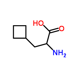 cas no 4426-06-6 is 3-Cyclobutylalanine