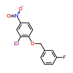 cas no 443882-99-3 is 2-Chloro-4-nitrophenyl 3-fluorobenzyl ether