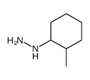 cas no 45659-67-4 is (2-Methylcyclohexyl)hydrazine