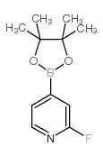cas no 458532-86-0 is 2-Fluoropyridine-4-boronic acid pinacol ester