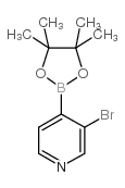 cas no 458532-92-8 is 3-Bromopyridine-4-boronic acid pinacol ester