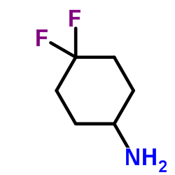 cas no 458566-84-2 is 4,4-Difluorocyclohexanamine