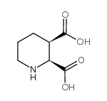 cas no 46026-75-9 is 2,5-dibromopiperidine