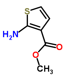 cas no 4651-81-4 is methyl2-aminothiophene-3-carboxylate
