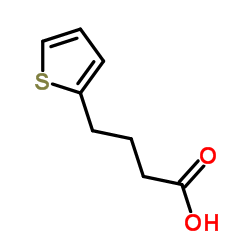 cas no 4653-11-6 is 4-(2-Thienyl)butanoic acid