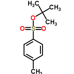 cas no 4664-57-7 is 2-Methyl-2-propanyl 4-methylbenzenesulfonate
