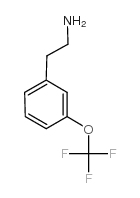 cas no 467461-10-5 is {2-[3-(Trifluoromethoxy)phenyl]ethyl}amine