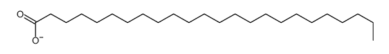 cas no 46927-71-3 is tetracosanoate