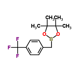 cas no 475250-46-5 is 4-(Trifluoromethyl)benzylboronic acid pinacol ester