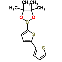 cas no 479719-88-5 is 2,2'-Bithiophene-5-boronic Acid Pinacol Ester