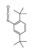 cas no 480438-99-1 is 1,4-ditert-butyl-2-isocyanatobenzene