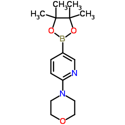 cas no 485799-04-0 is 6-(Morpholin-4-yl)pyridine-3-boronic acid pinacol ester
