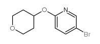 cas no 494772-07-5 is 5-BROMO-2-((TETRAHYDRO-2H-PYRAN-4-YL)OXY)PYRIDINE