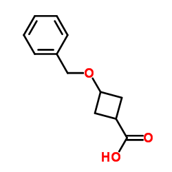 cas no 4958-02-5 is 3-(Benzyloxy)cyclobutanecarboxylic acid
