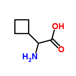 cas no 49607-08-1 is Amino(cyclobutyl)acetic acid