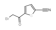 cas no 496879-84-6 is 5-(Bromoacetyl)thiophene-2-carbonitrile