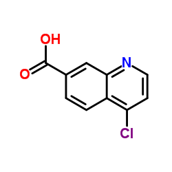 cas no 49713-58-8 is 4-Chloroquinoline-7-carboxylic acid