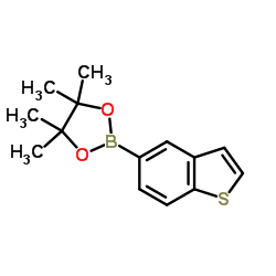 cas no 501945-71-7 is 2-(Benzo[b]thiophen-5-yl)-4,4,5,5-tetramethyl-1,3,2-dioxaborolane