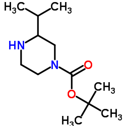 cas no 502649-32-3 is 1-Boc-3-Isopropylpiperazine